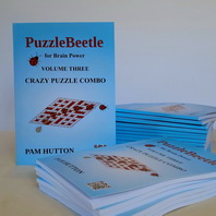 PuzzleBeetle Volume 3 – puzzle and crossword book – great gift PuzzleBeetle Volume 3